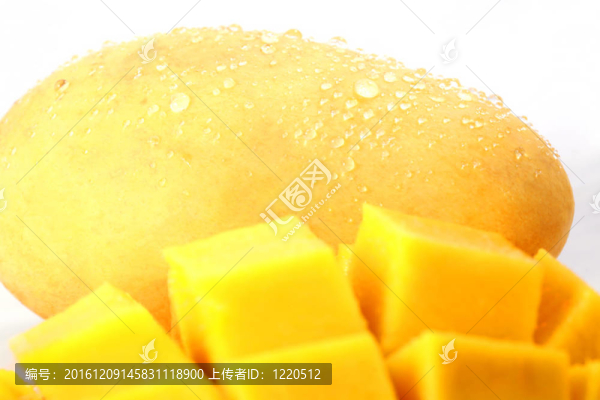 芒果