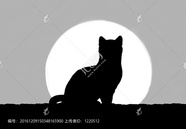 落日的貓剪影
