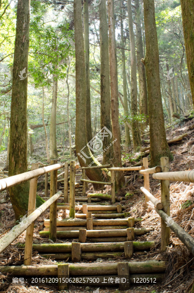 山間的小路