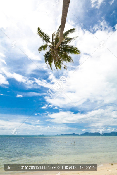 沙美島