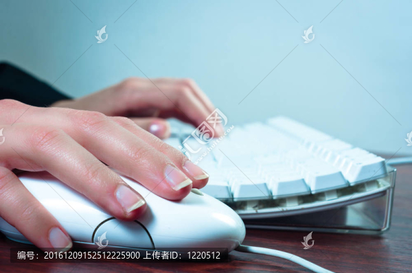 使用鼠標和鍵盤的女人的手