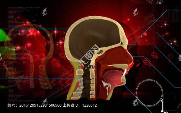 咽
