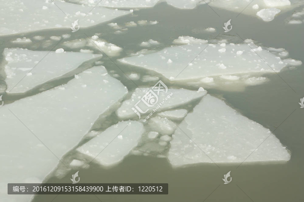 港灣中的冰