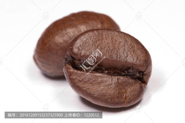 兩咖啡豆