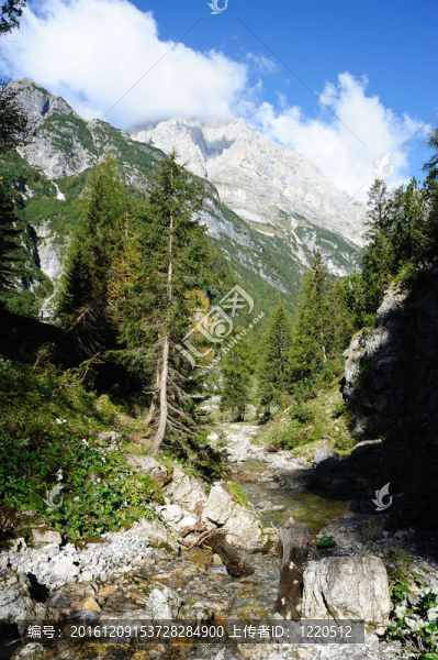 山