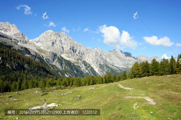 山