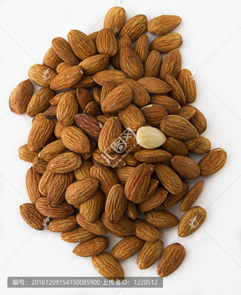 樁的堅(jiān)果