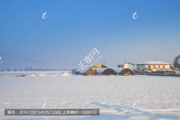 雪景