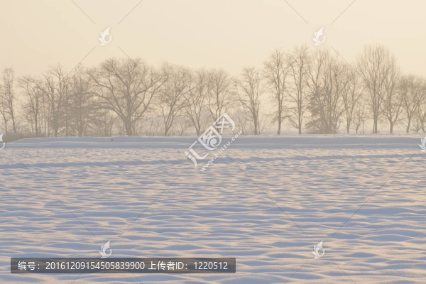 雪景