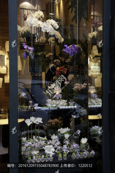 花店的窗口
