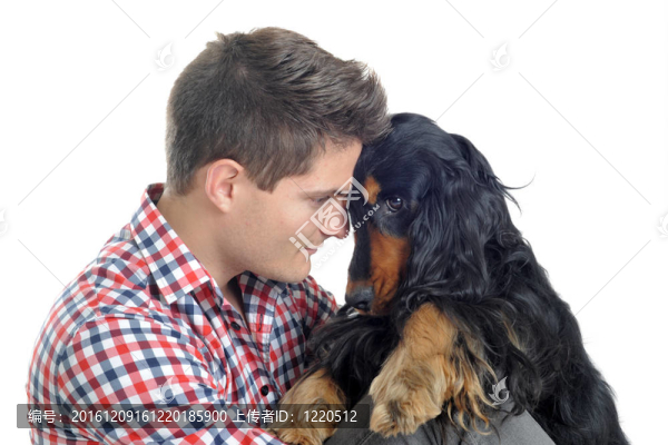 英國可卡犬和人