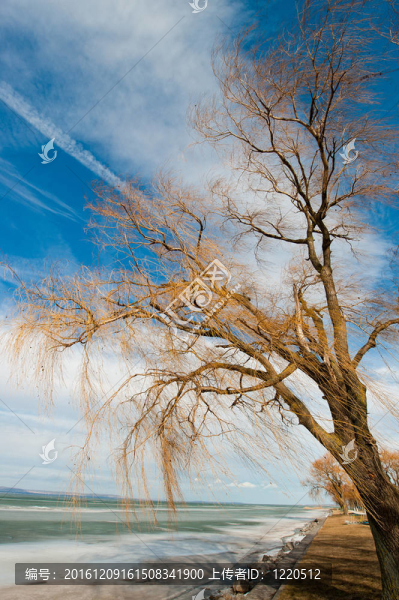 Balaton的冬天