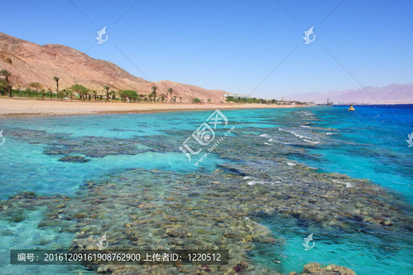 紅海岸線。Eilat；以色列。