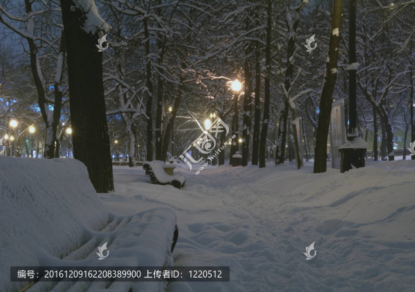 冰雪覆蓋的boulevar夜景