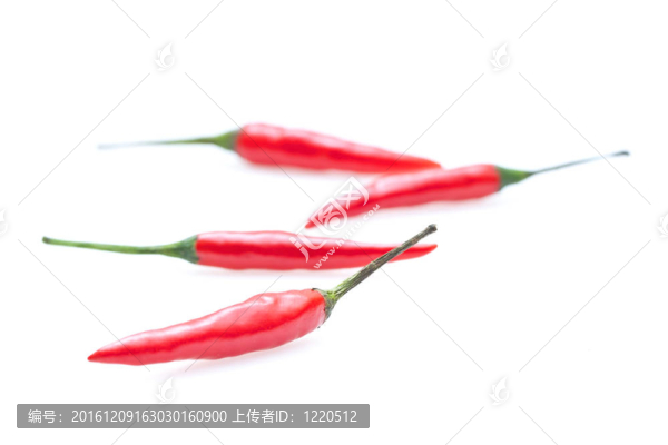 白色背景辣椒