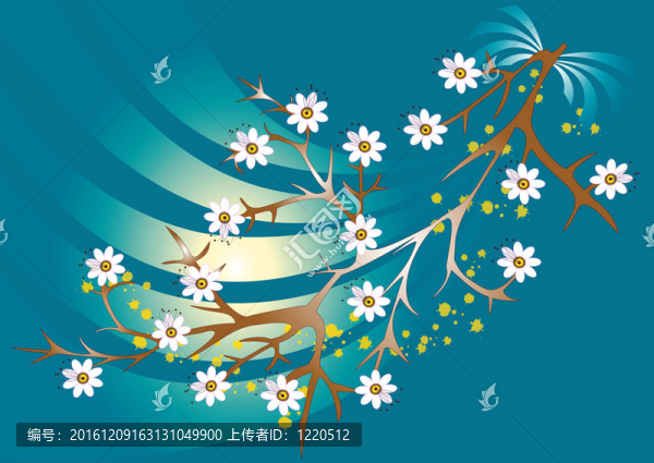 枝上的白花