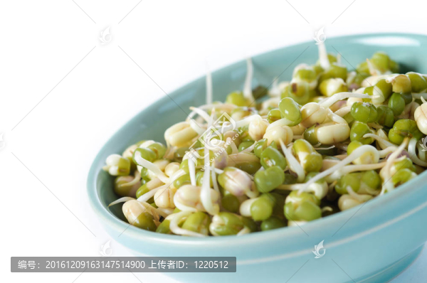 綠豆