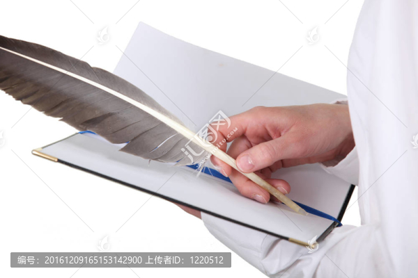 有羽毛和書的人的手