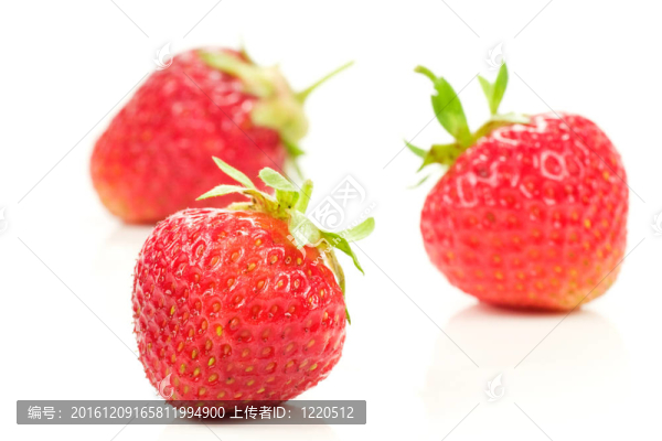 三草莓