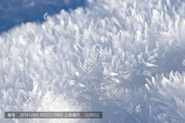 白色絨毛雪近距離