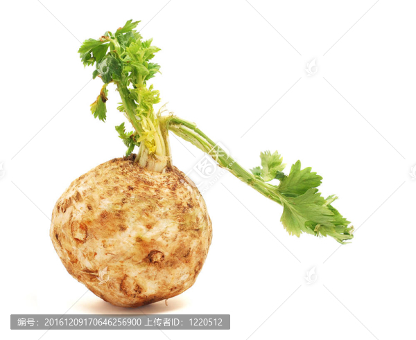芹菜