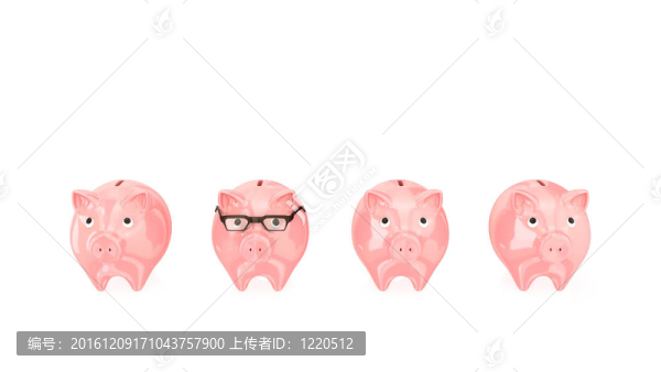 小豬銀行。