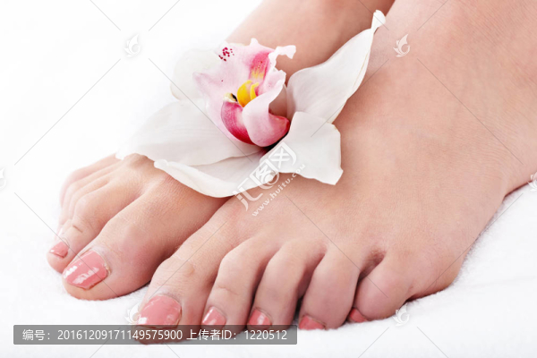 帶百合花的女人腳。