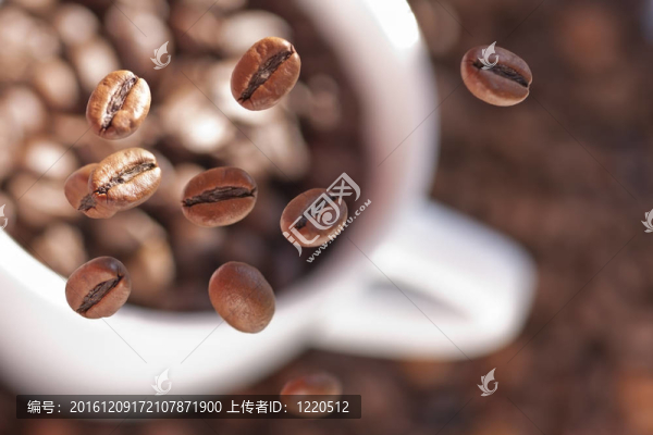 飛豆