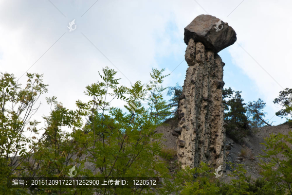 石林在Pontis；法國。