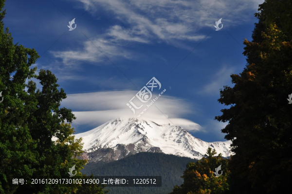雙柱鏡