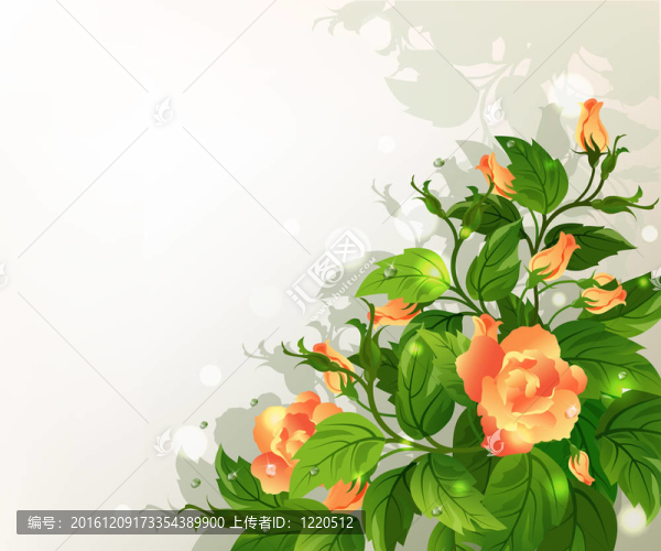 背景與黃玫瑰