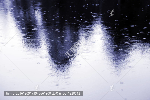 秋天的城市公園里的一個(gè)池塘里的雨滴
