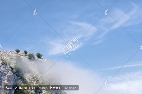 科瓦東加