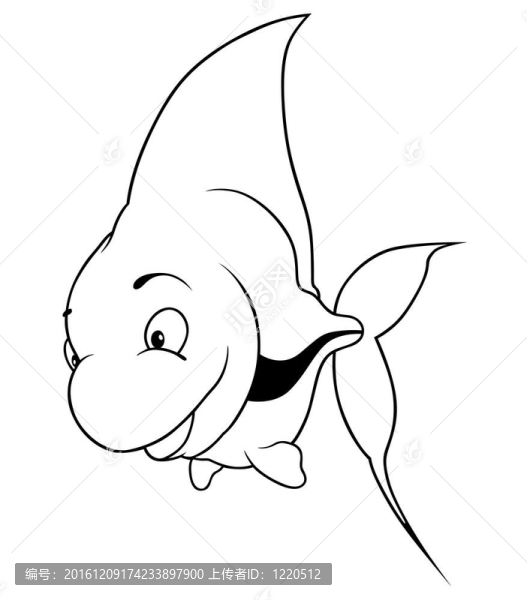 標(biāo)量的魚(yú)