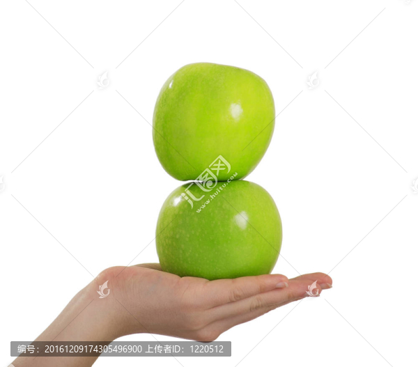 兩個綠色的蘋果在手上孤立