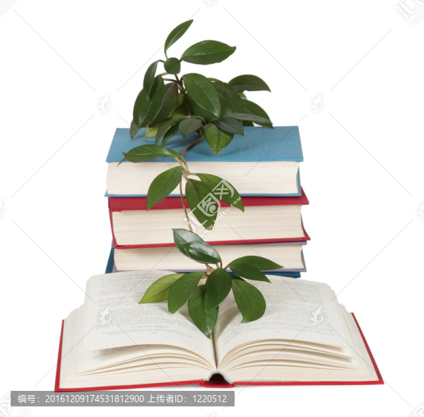 一堆有花的書