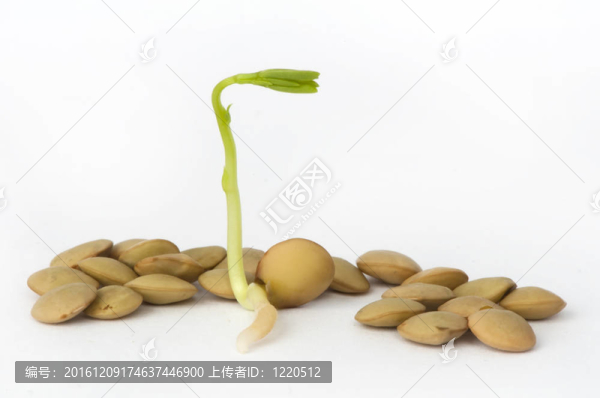 長鏡頭特寫