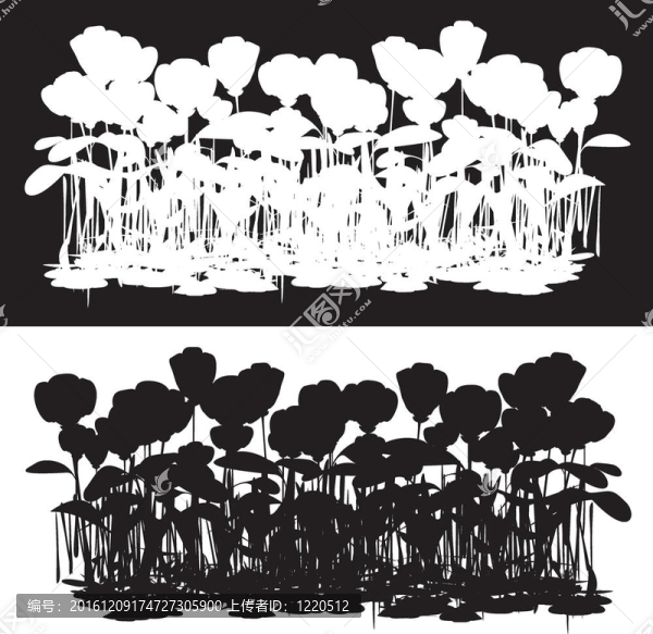 罌粟花田