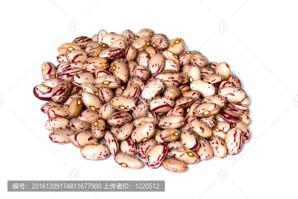 菜豆