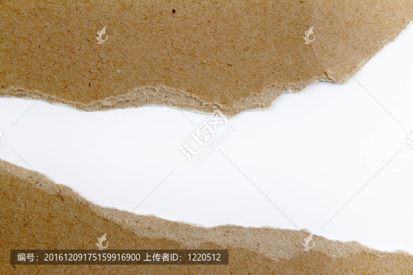 撕紙