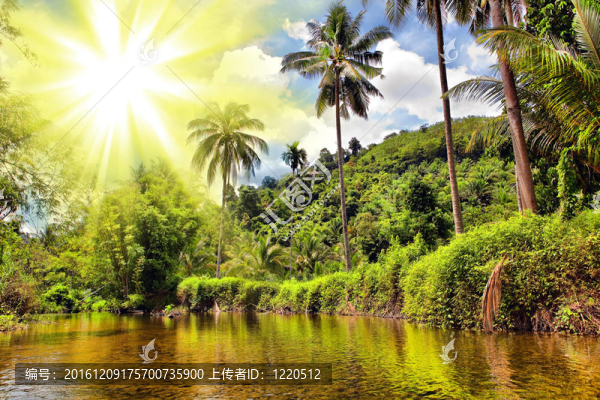 叢林河流；泰國