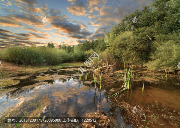 美麗的夏季景觀在下降
