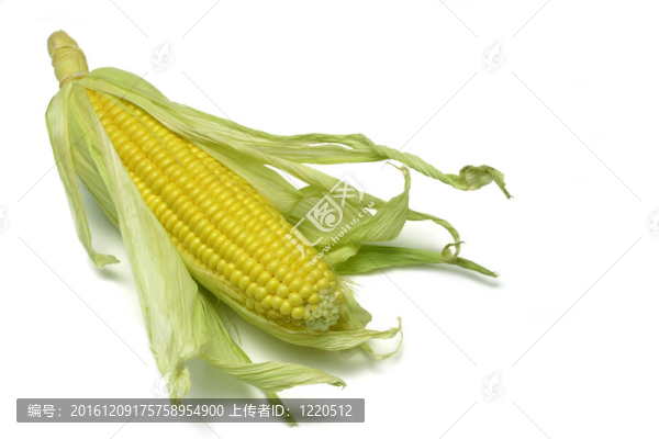 玉米棒
