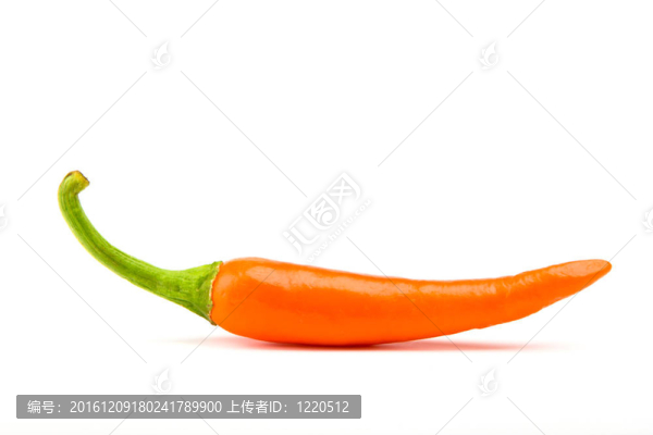 orangr辣椒孤立在白色背景