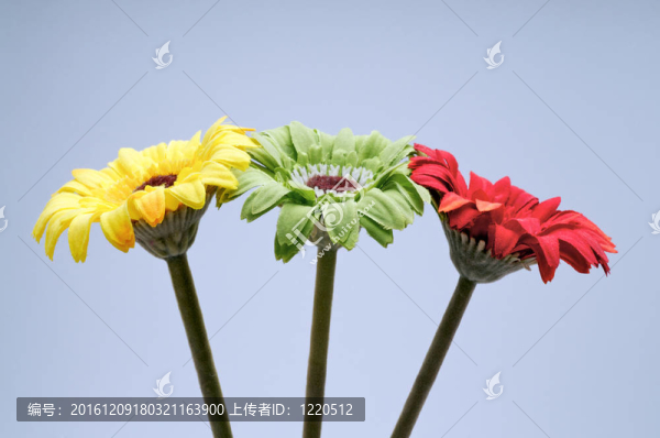 人造花卉