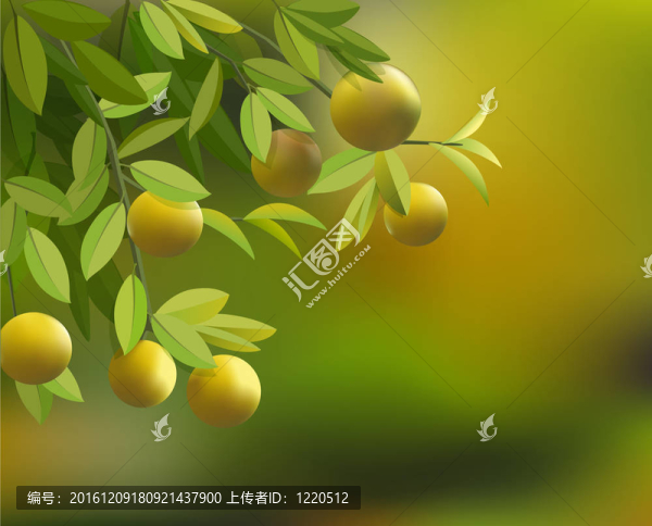 有樹(shù)枝、樹(shù)葉和檸檬的背景
