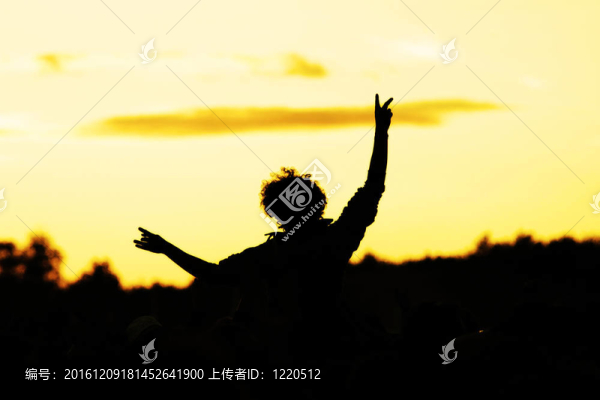 crowdsurfer
