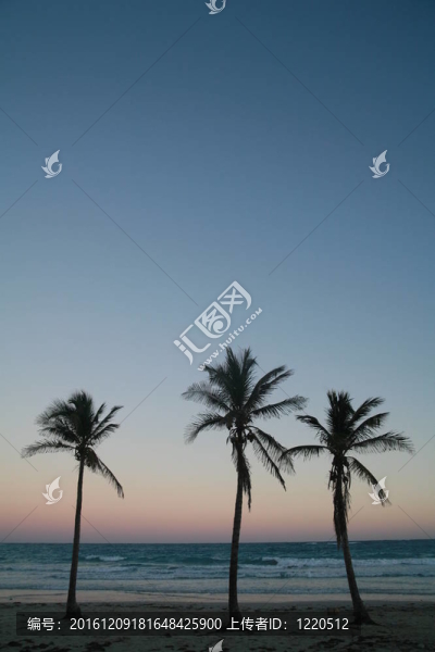 熱帶島嶼