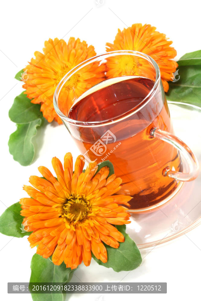 金盞花茶