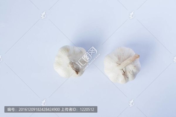 白蒜